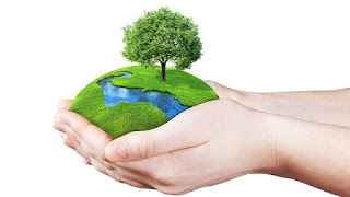 protection of environment short essay