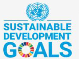 2030 Agenda for Sustainable Development Goal