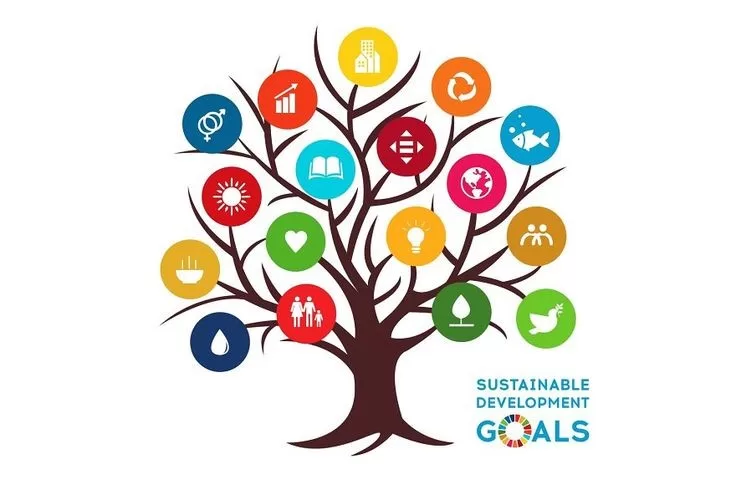 Essay on sustainable development goals 