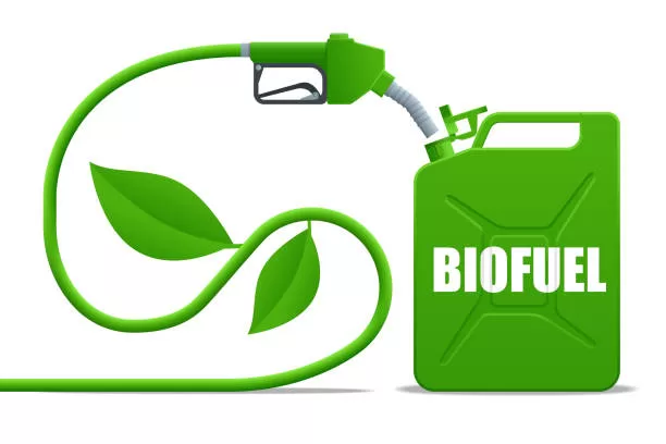 World Biofuel Day 